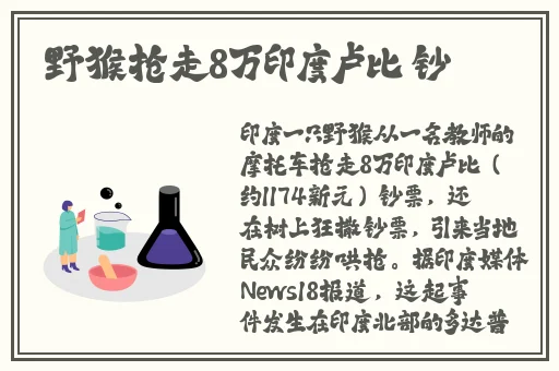 挽起裙子迈开腿开扑克免费看